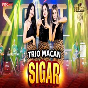 Trio Macan