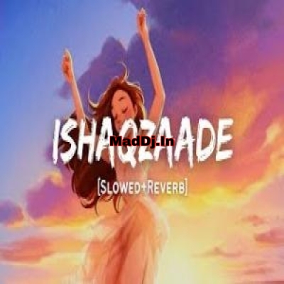 Ishaqzaade (Lofi Mix)