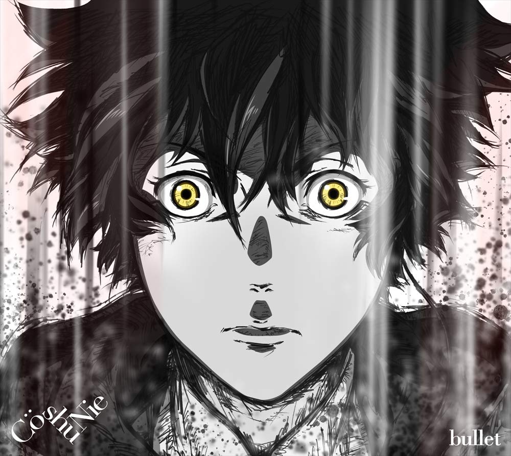 Co Shu Nie - bullet