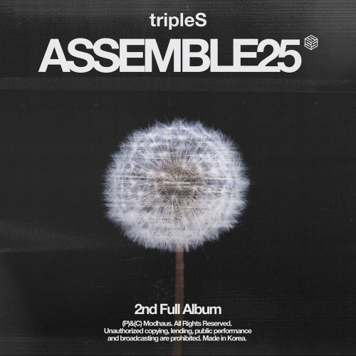 tripleS - Persona tripleS - Persona