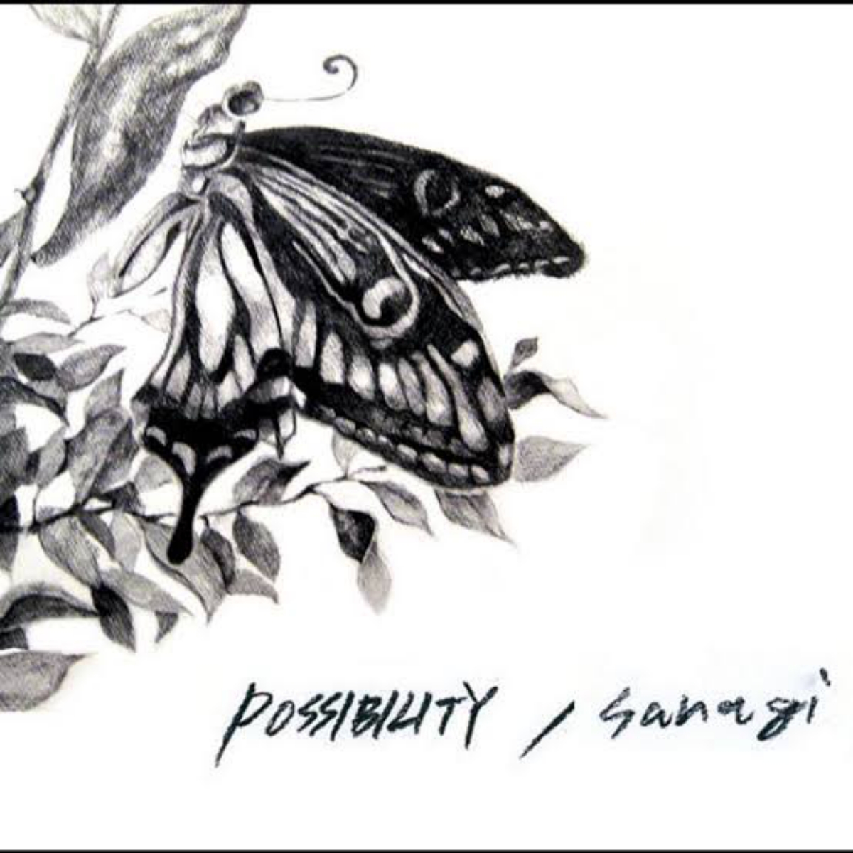 POSSIBILITY - sanagi