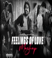 Satranga X Rahogi Meri Feelings Of Love Mashup