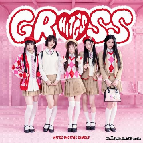 HITGS - GROSS HITGS - GROSS