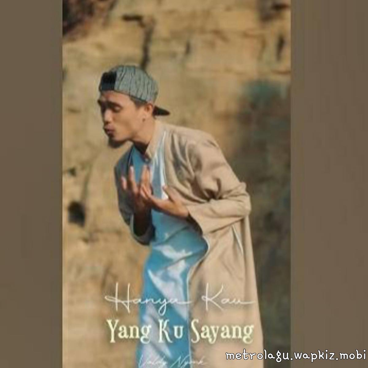 Valdy Nyonk - Hanya Kau Yang Ku Sayang