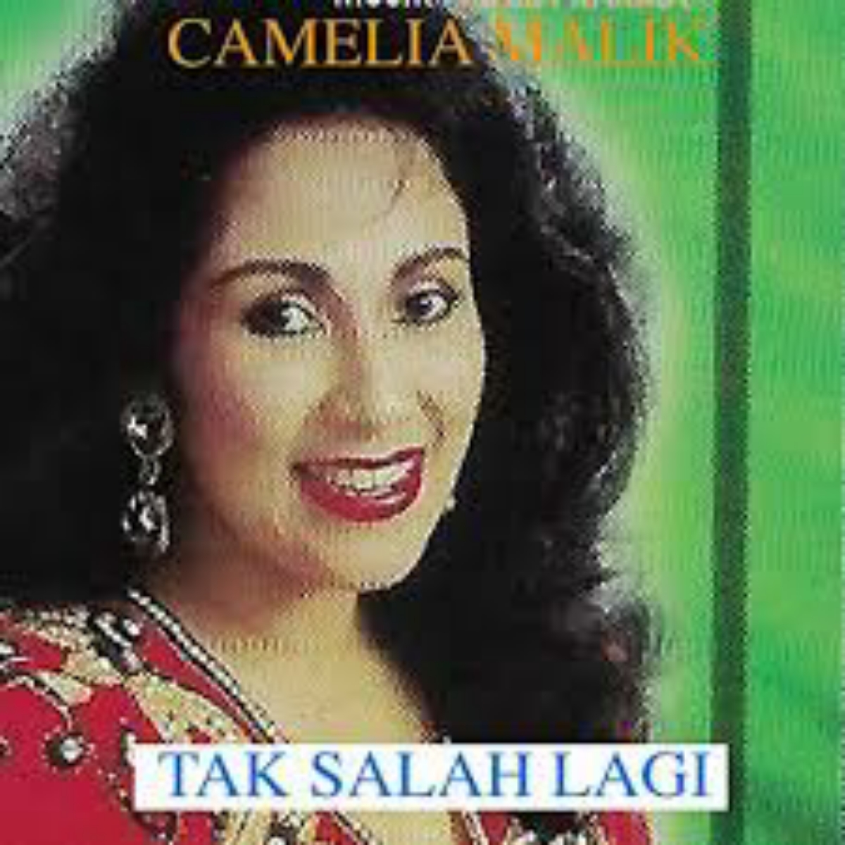 Camelia Malik - Tak Salah Lagi Mp3