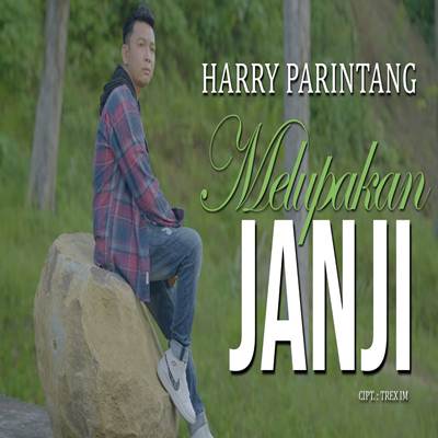 Harry Parintang