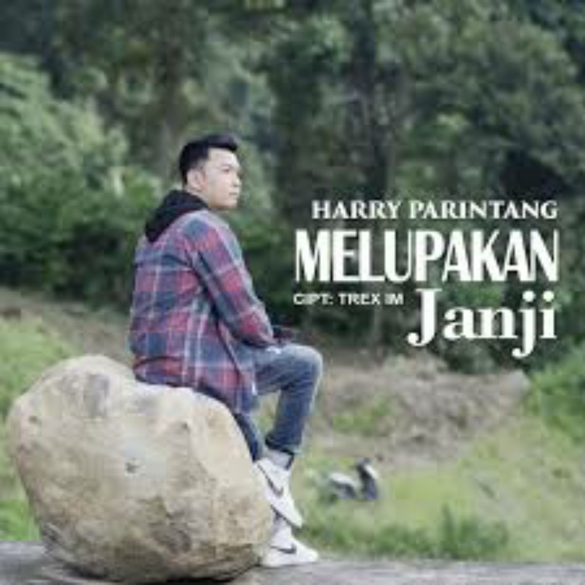 Harry Parintang Melupakan Janji Mp3