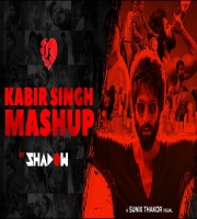 Kabir Singh (Lofi Mashup)