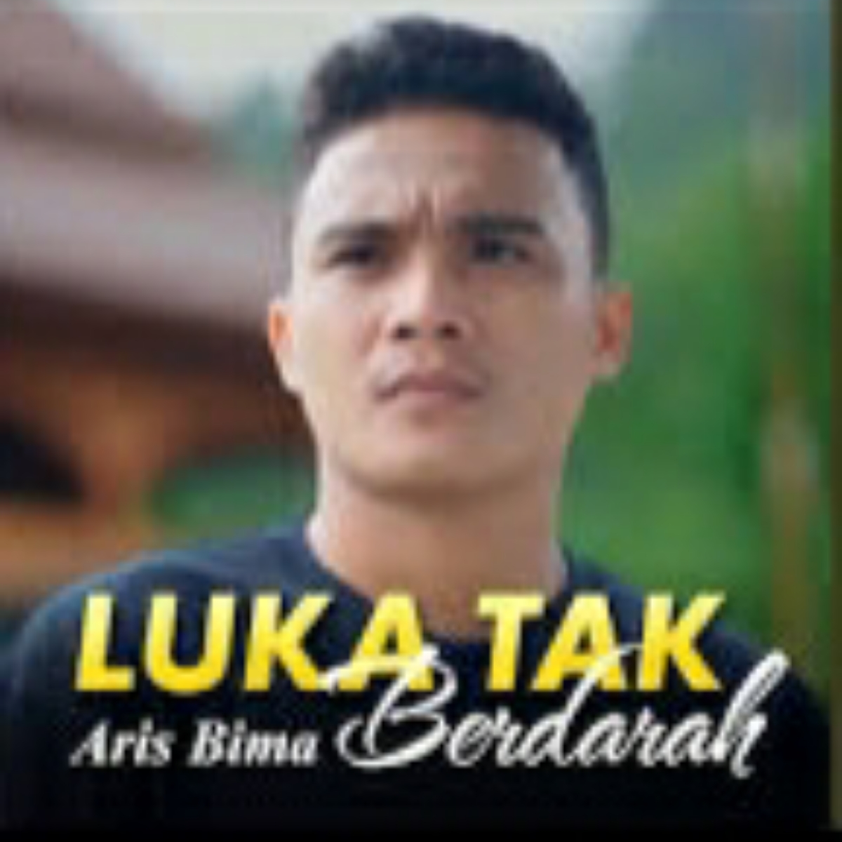 Aris Bima Luka Tak Berdarah Mp3