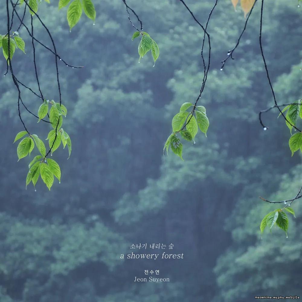 Jeon Su Yeon - a showery forest Mp3