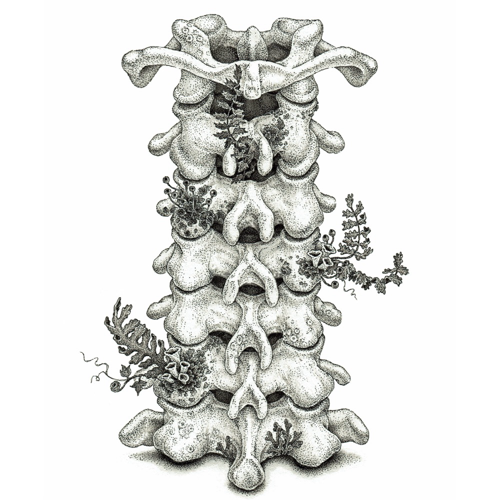 Ai Higuchi - Itterasshai