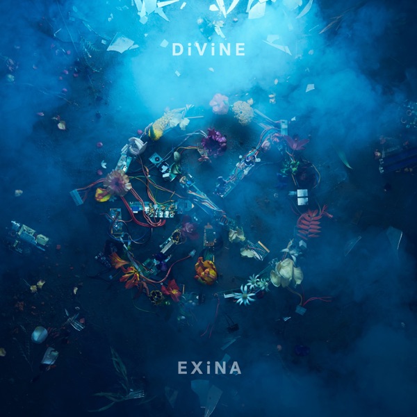 EXiNA - DiViNE