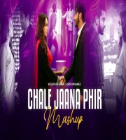 Chale Jaana Phir Mashup