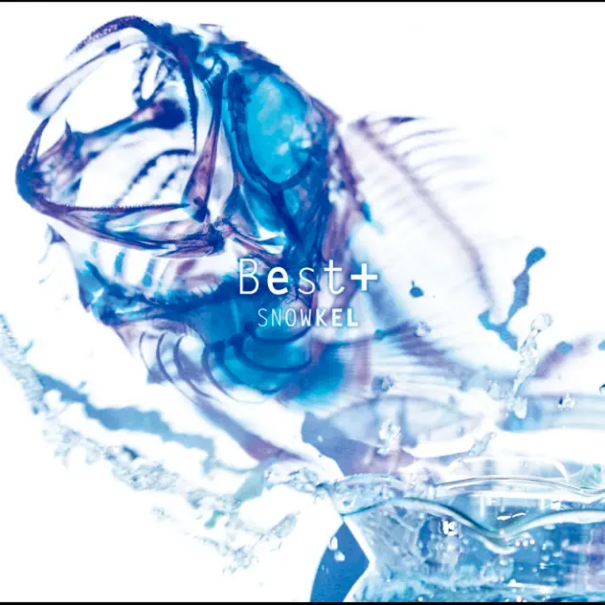 Snowkel - Namikaze Satellite