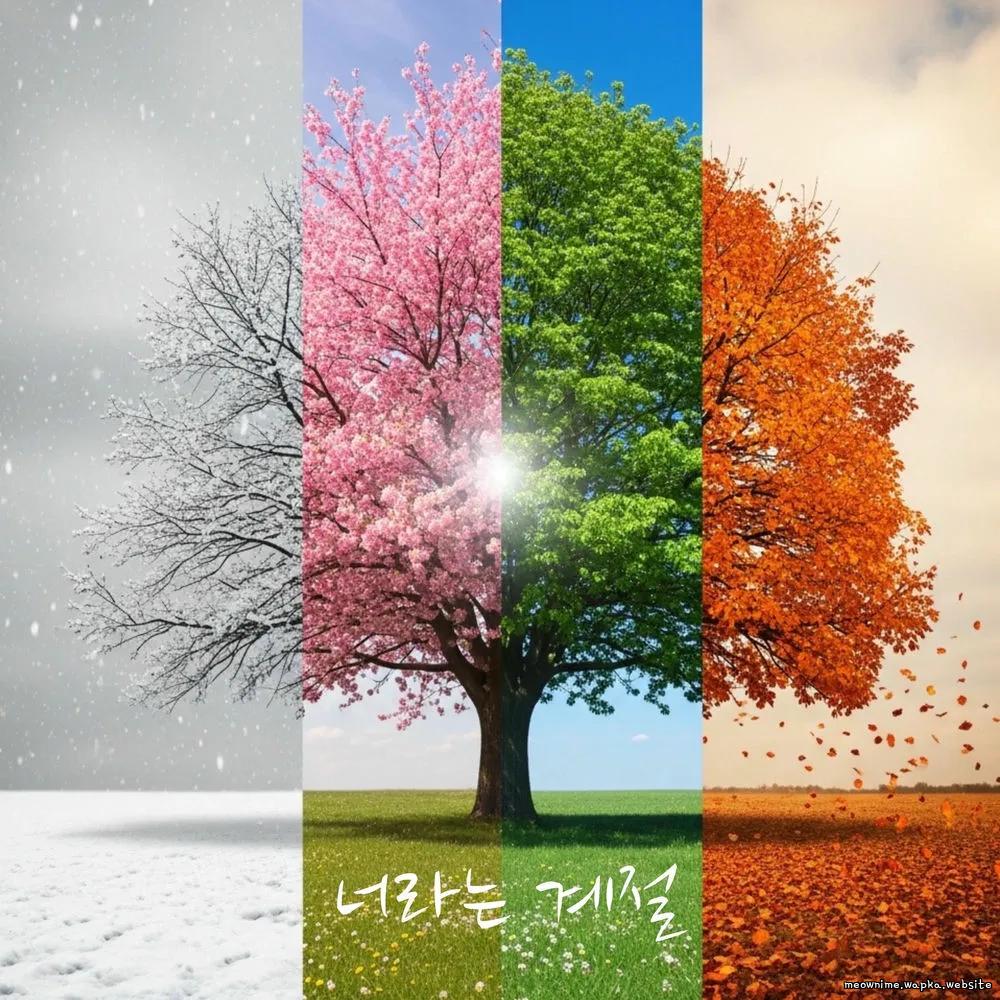 Yang Jung Mo - The Season of You Mp3