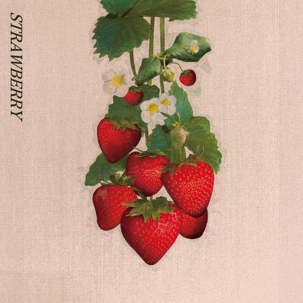 Kobore - STRAWBERRY