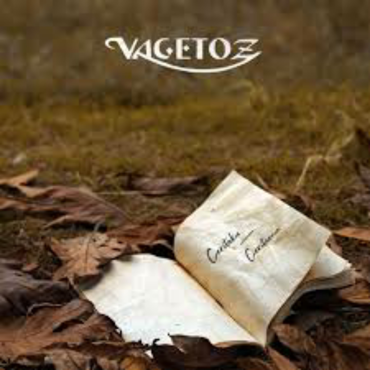 Vagetoz - Luluh