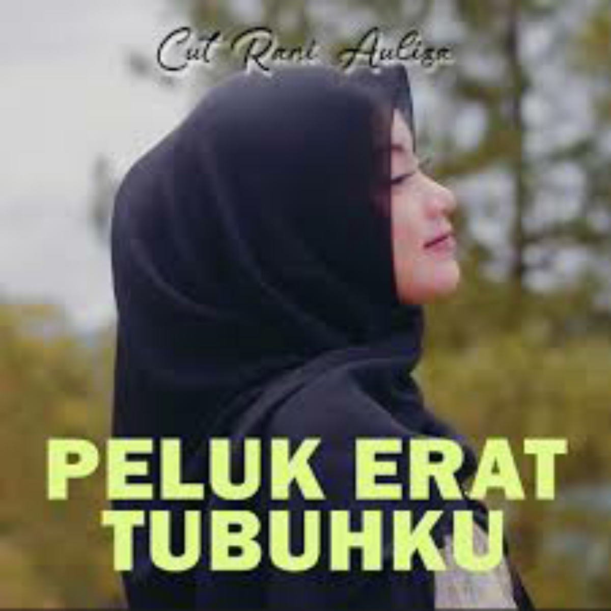 Cut Rani Auliza Peluk Erat Tubuhku Mp3