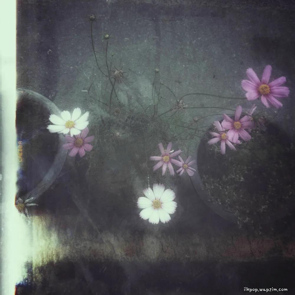 결국엔 사랑 (Love, After All) by GYE0M