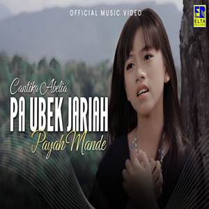 Cantika Abelia Paubek Jariah Payah Mande Cover mp3
