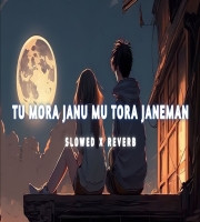 Tu Mora Janu Mu Tora Janeman - Odia (Lofi Mix)