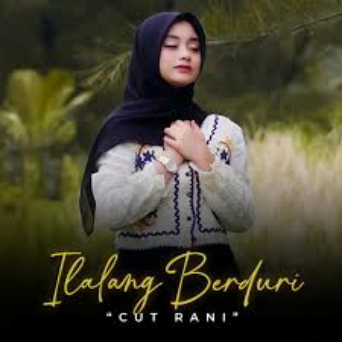 Cut Rani Auliza Ilalang Berduri Mp3