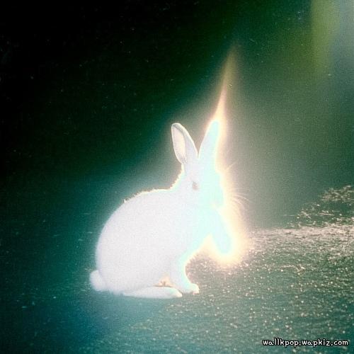 jui - We Might Be Friends Mp3