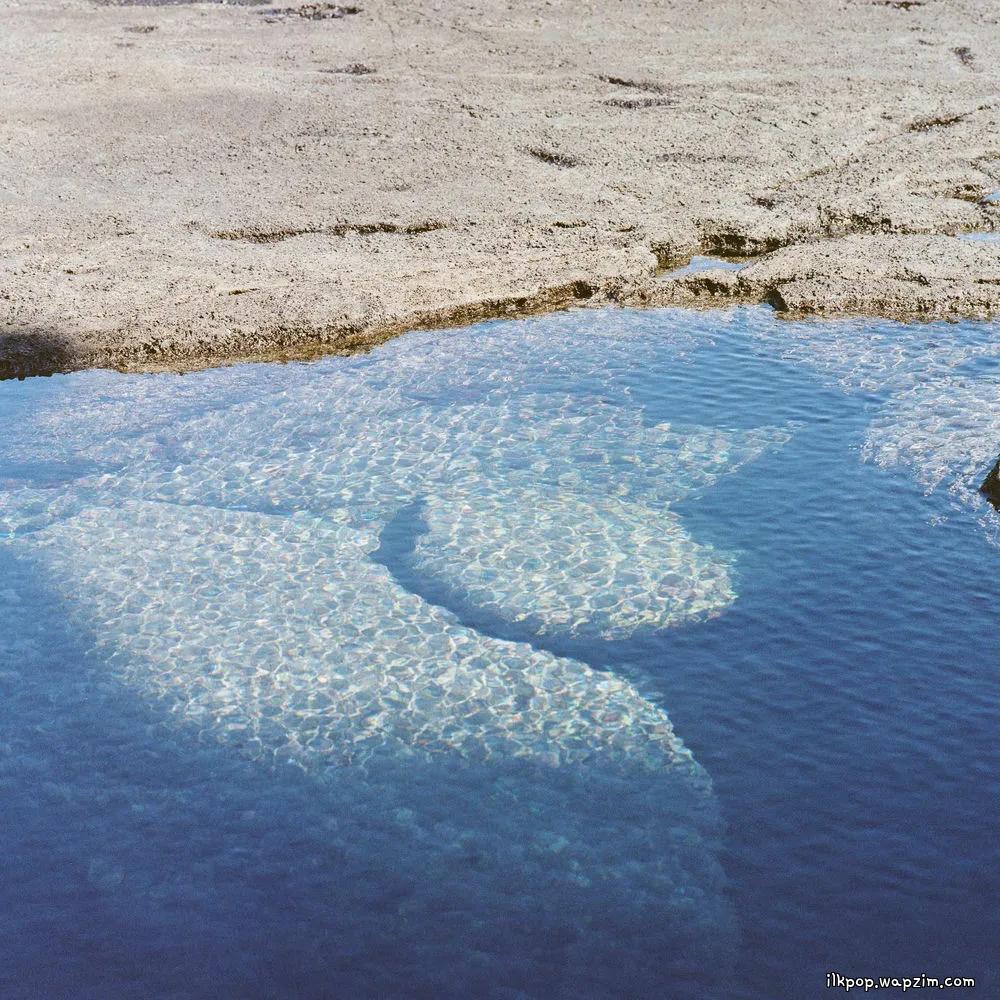 해파리 (Jellyfish) by Son Hyeeun