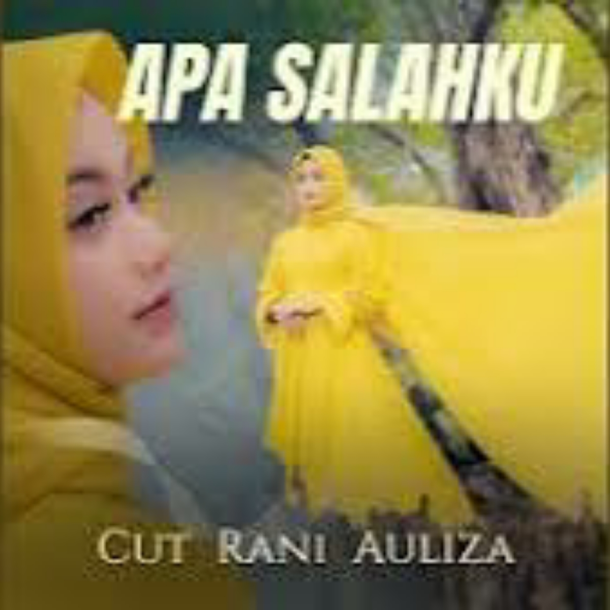 Cut Rani Auliza