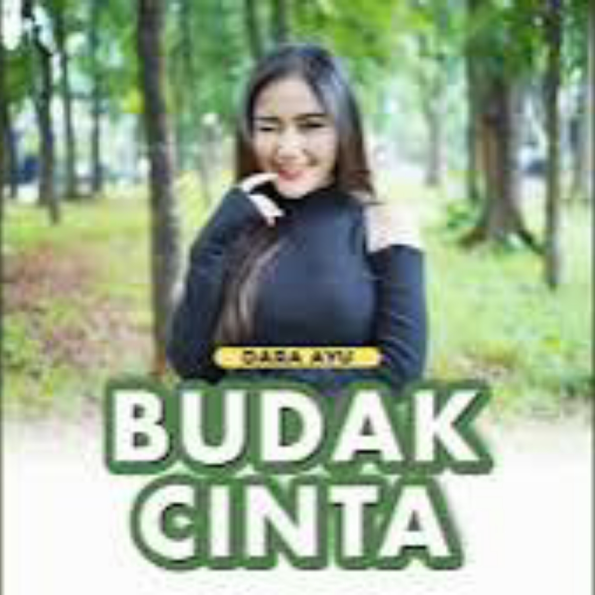 Budak Cinta