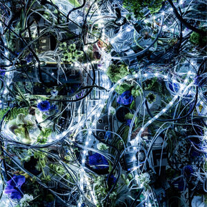 Aimer - Through My Blood 