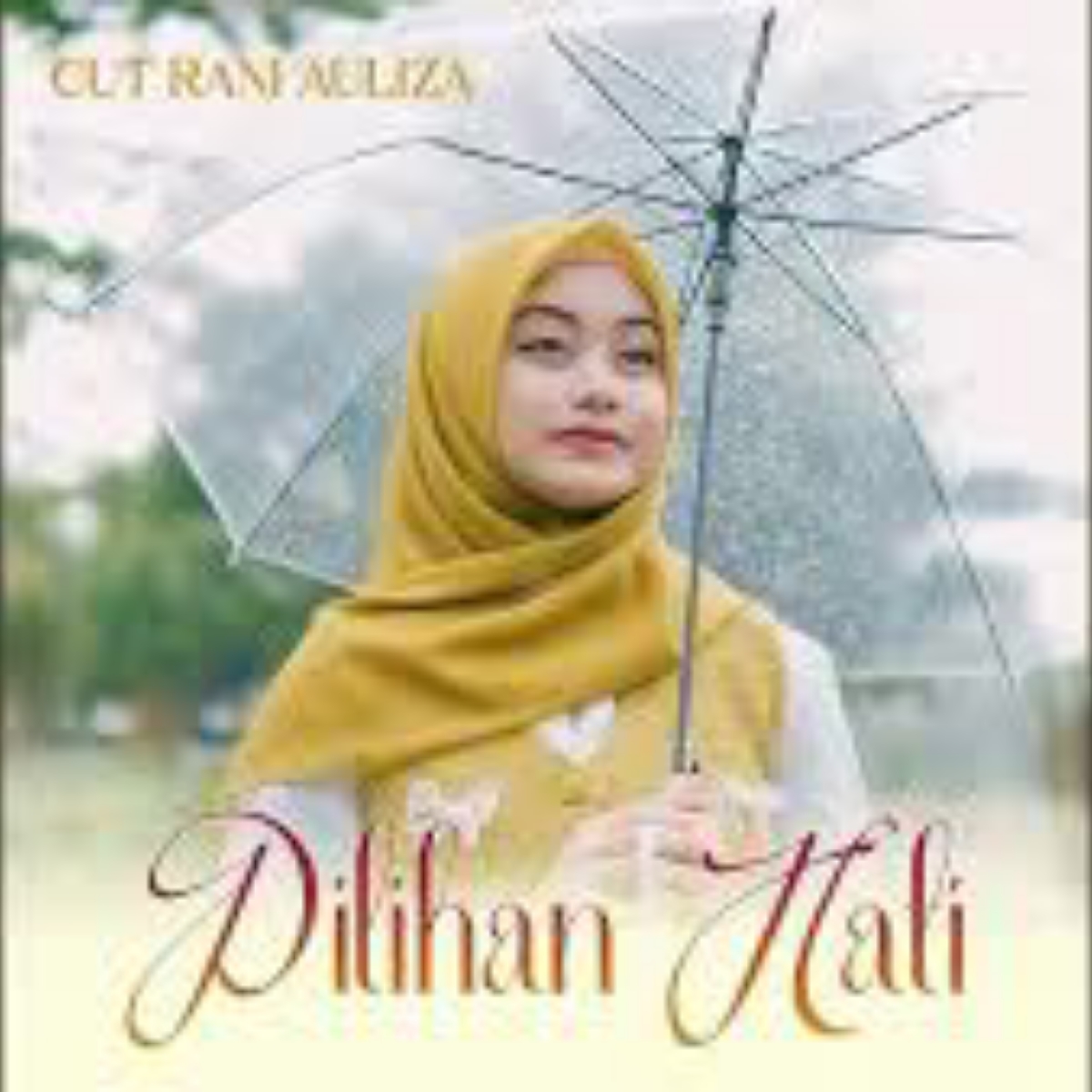 Cut Rani Auliza Pilihan Hati Mp3