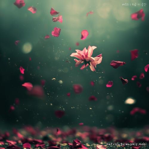 At This Moment by Bae Woori
