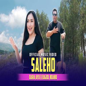 Dara Ayu X Bajol Ndanu Saleho Cover Mp3