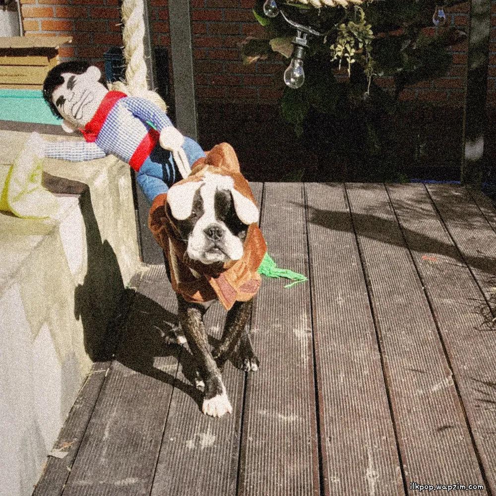 잘 지내고 있어 (been doing fine) by paulkyte