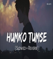 Humko Tumse (Lofi Mix)