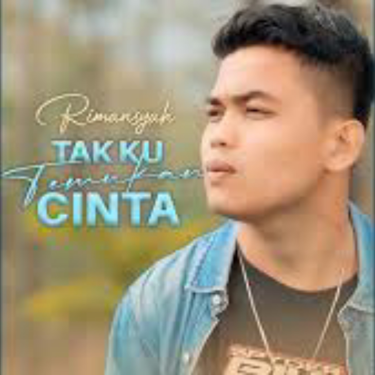 Tak Ku Temukan Cinta