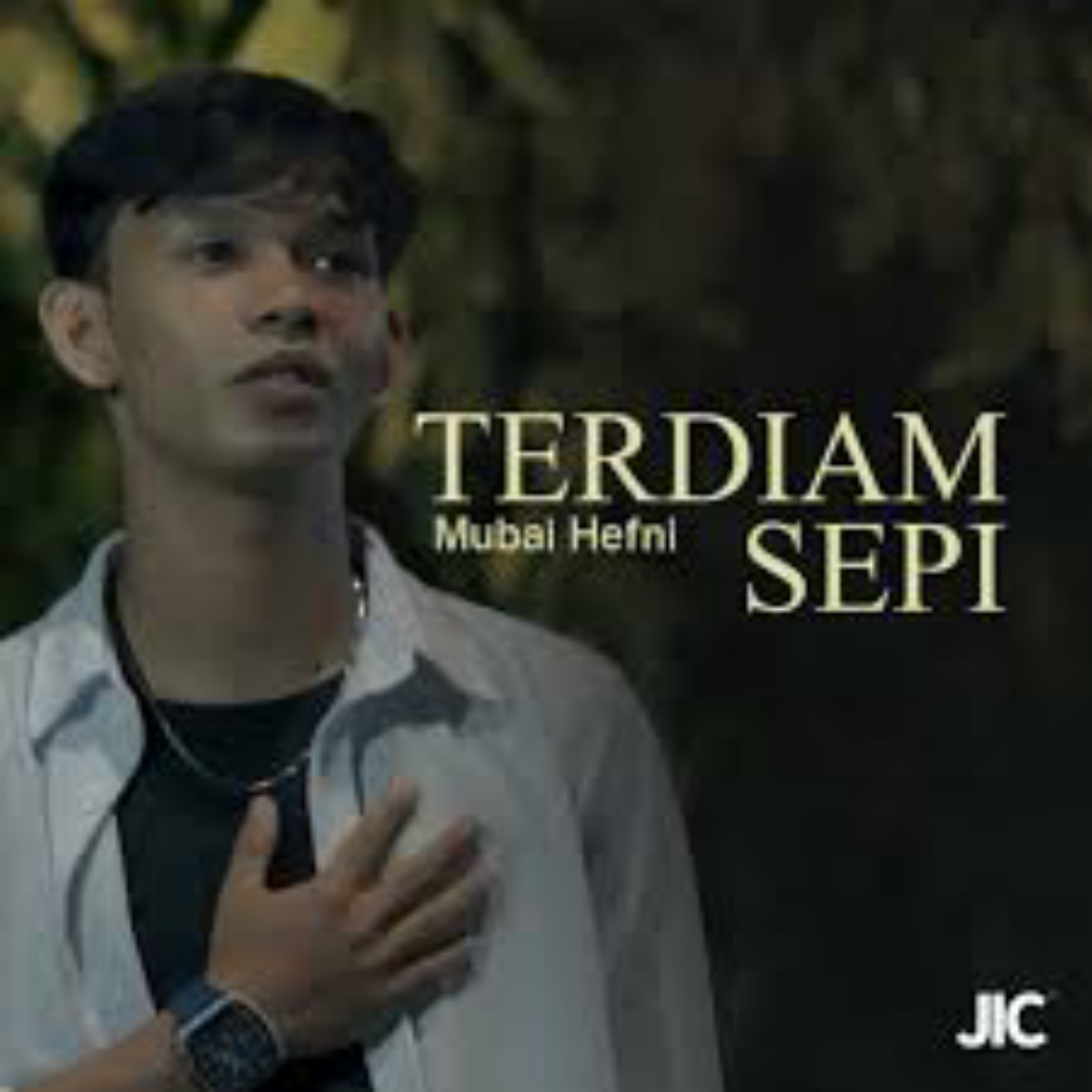 Terdiam Sepi