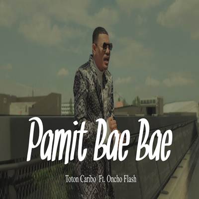 Toton Caribo Pamit Bae Bae Feat. Oncho Flash Mp3