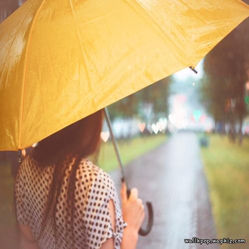 Susugar - Spring rain is falling Susugar - Spring rain is falling