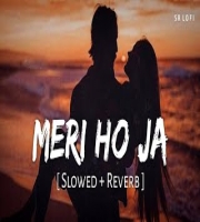 Meri Ho Ja (Lofi Mix)