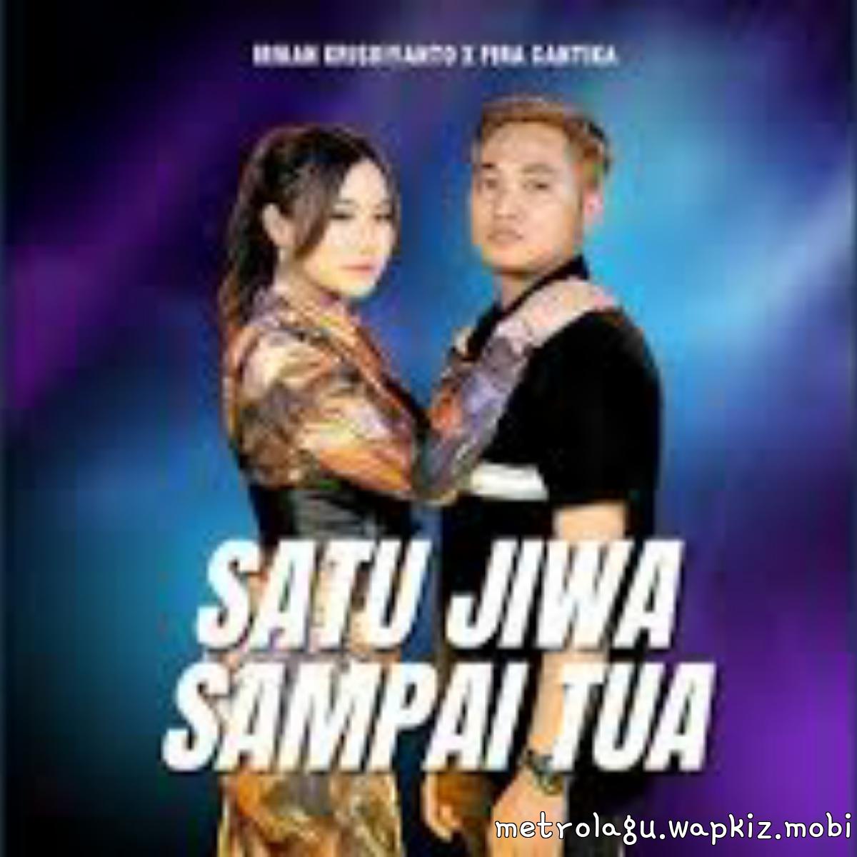 Irwan Krisdiyanto X Fira Cantika - Satu Jiwa Sampai Tua Mp3