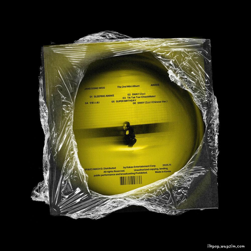 SWAY (Zzz) by Jang Dong Woo