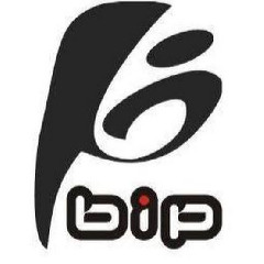 BIP - Skak Mat  