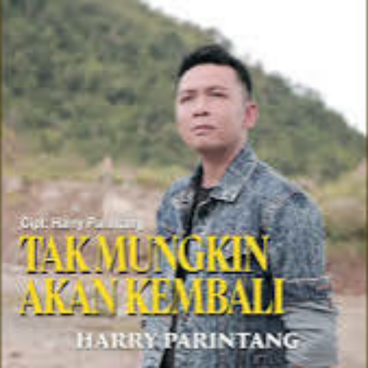 Harry Parintang Tak Mungkin Akan Kembali Mp3