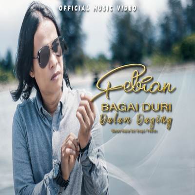 Bagai Duri Dalam Daging (Remix Version)