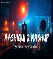 Aashiqui 2 (Lofi Mashup)