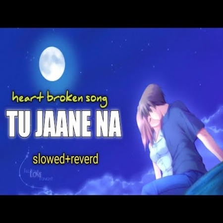 Tu Jaane Na (Lofi Mix)