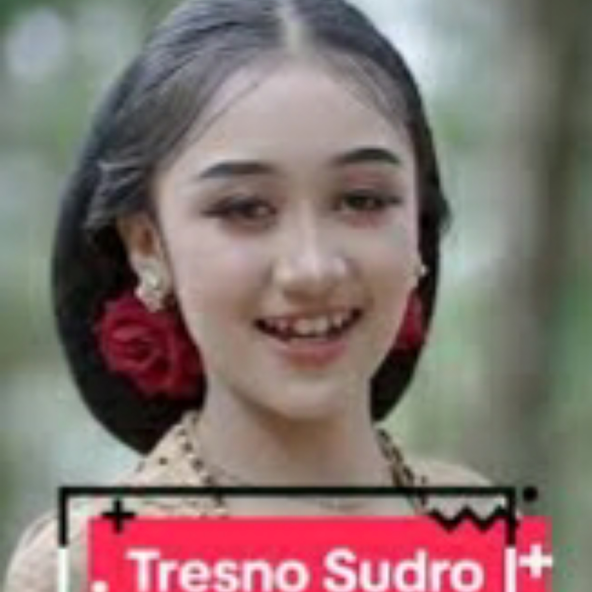 Tresno Sudro