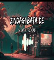 Zindagi Bata De (Lofi Mix)